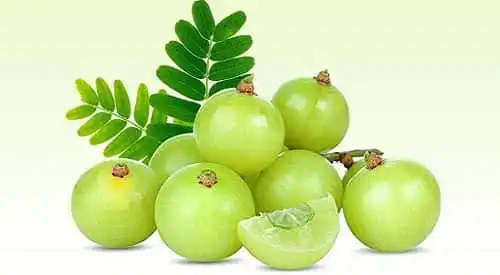 Sabinsa Continues the Fight Against Adulterated Vitamin C in Food and Beverage Products by Alerting Regulatory Agencies
